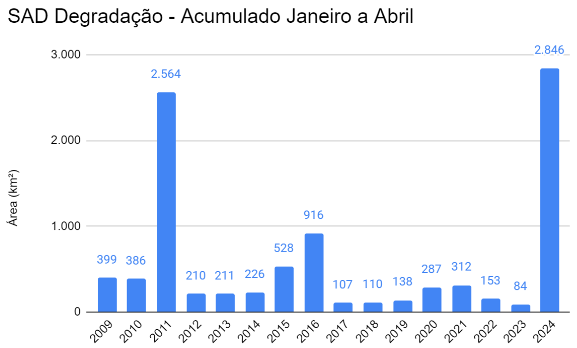SAD Degradacao acumulada de janeiro a abril 2008 a 2024 - Queimadas em Roraima fizeram degradação florestal ser a maior dos últimos 15 anos na Amazônia