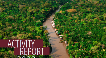 Activity Report 2022
