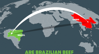 Are Brazilian Beef Companies In Accordance With The China Meat Association Specification For Meat Industry Green Trade?