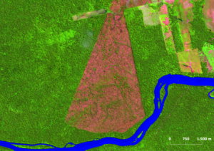 Imagem1 300x212 - Amazônia tem menor desmatamento em unidades de conservação no primeiro semestre dos últimos 10 anos