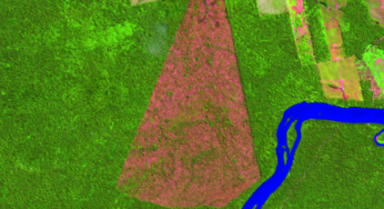 Amazônia tem menor desmatamento em unidades de conservação no primeiro semestre dos últimos 10 anos