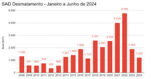 SAD Desmatamento Janeiro a Junho de 2024 300x158 - Amazônia tem menor desmatamento em unidades de conservação no primeiro semestre dos últimos 10 anos