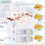 INFBoletimSAD Jul2024 A4 297x210 WEB 1 150x150 - Sistema de Alerta de Desmatamento (SAD) – Julho de 2024