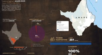System for Monitoring Timber Harvesting (Simex): Mapping logging in Amapá State – August 2022 to July 2023