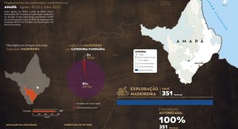 Sistema de Monitoramento da Exploração Madeireira (Simex): Mapeamento da exploração madeireira no Amapá – Agosto 2022 a Julho 2023