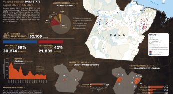 System for Monitoring Timber Harvesting (Simex): Mapping logging in Pará State – August 2022 to July 2023