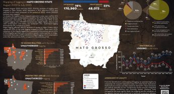 System for Monitoring Timber Harvesting (Simex): Mapping logging in Mato Grosso State – August 2022 to July 2023
