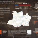 Infografico SIMEX A4 AMAZONAS ago2022 jul2023 PT 150x150 - System for Monitoring Timber Harvesting (Simex): Mapping logging in Amazonas State – August 2022 to July 2023