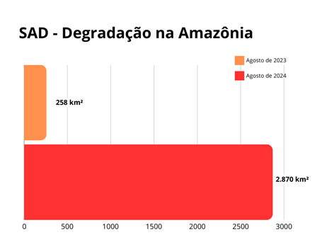 SAD Degradacao na Amazonia - Desmatamento e degradação na Amazônia aumentam pelo terceiro mês consecutivo