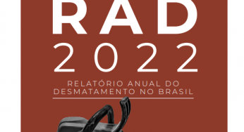 Destaques RAD 2022: Relatório anual do desmatamento no Brasil