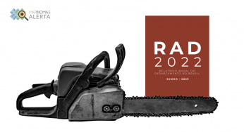 RAD 2022: Relatório anual do desmatamento no Brasil