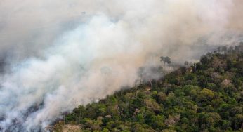 Degradação da Amazônia passa dos 20 mil km² em setembro, a maior em 15 anos
