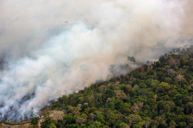 GP0SU1TNG Low res 800px - Degradação da Amazônia passa dos 20 mil km² em setembro, a maior em 15 anos