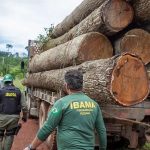 Vinicius Mendonca IBAMA 150x150 - Extração ilegal de madeira aumentou 19% na Amazônia