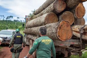 Vinicius Mendonca IBAMA 300x200 - Extração ilegal de madeira aumentou 19% na Amazônia