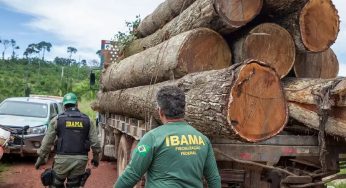 Extração ilegal de madeira aumentou 19% na Amazônia