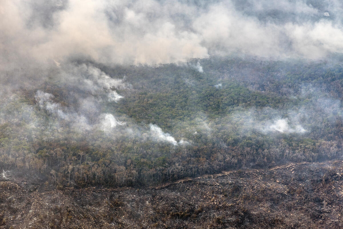 Queimada na Amazonia Foto Marizilda Cruppe Greenpeace - Desmatamento e degradação aumentam pelo quinto mês consecutivo na Amazônia