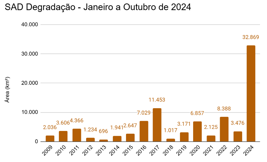 SAD Degradacao Janeiro a Outubro de 2009 a 2024 - Desmatamento e degradação aumentam pelo quinto mês consecutivo na Amazônia