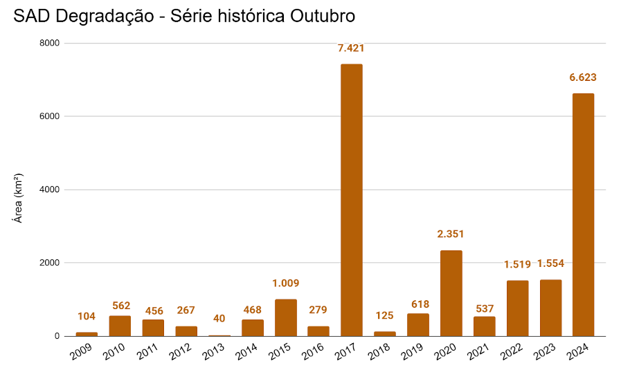 SAD Degradacao Outubro de 2009 a 2024 - Desmatamento e degradação aumentam pelo quinto mês consecutivo na Amazônia