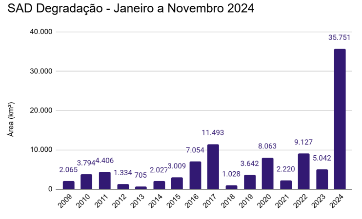 Captura de tela 2024 12 18 135821 - Desmatamento e degradação têm sexto mês consecutivo de aumento na Amazônia