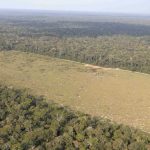 GP0SU0599 Low res 800px 150x150 - Derrubada na Amazônia Legal cresce 15% de agosto a maio