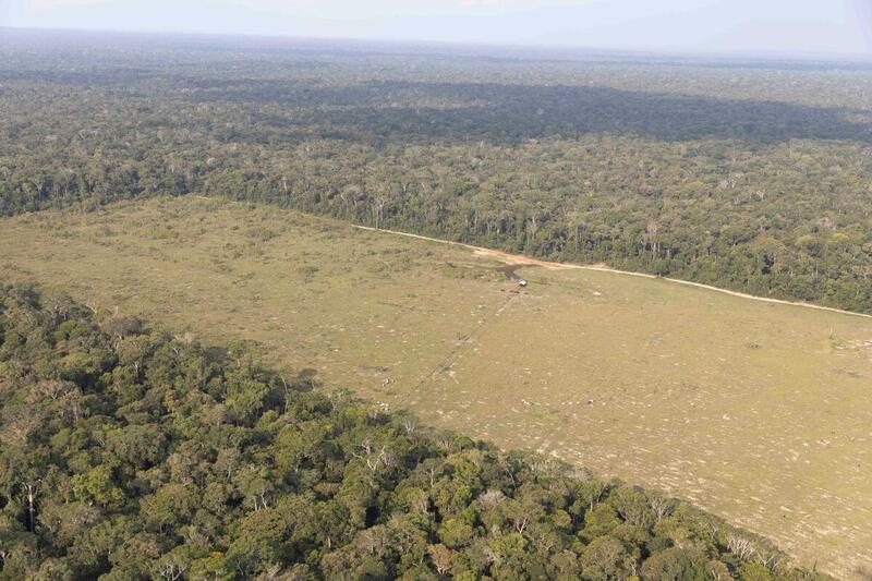 Derrubada na Amazônia Legal cresce 15% de agosto a maio