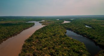 Mais de 20 organizações lançam Rede Pan-Amazônica para impulsionar bioeconomia sustentável