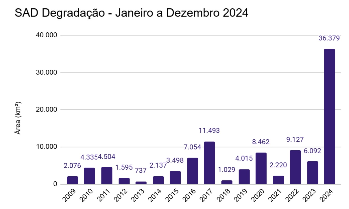 Degradacao de janeiro a dezembro 2008 a 2024 - Amazônia fecha 2024 com queda de 7% no desmatamento, mas alta de 497% na degradação