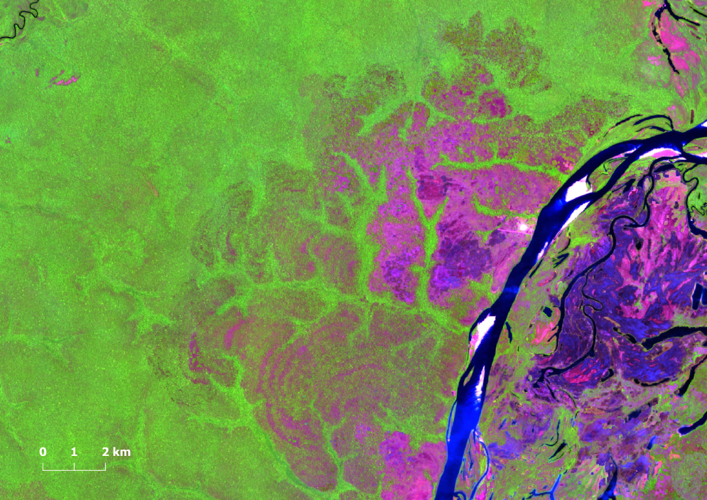 Imagem de satelite mostra de area degradada em Mato Grosso em setembro de 2024 - Amazônia fecha 2024 com queda de 7% no desmatamento, mas alta de 497% na degradação