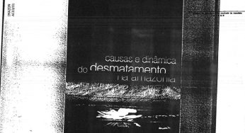 Causas e dinâmia do desmatamento na Amazônia