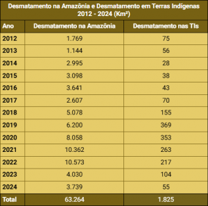 2025 04 09 10 21 22 NORAD Infogram Opera 300x297 - ATL 2025: terras indígenas registram apenas 3% do desmatamento nos últimos 13 anos
