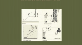 Custos e Benefícios do Manejo Florestal para Produção de Madeira na Amazônia Oriental (n°10)