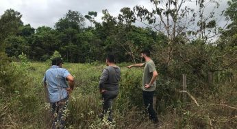 Amazônia tem 4 milhões de hectares aptos para restauração florestal e quase 30 milhões de hectares de potencial, aponta estudo do Amazônia 2030