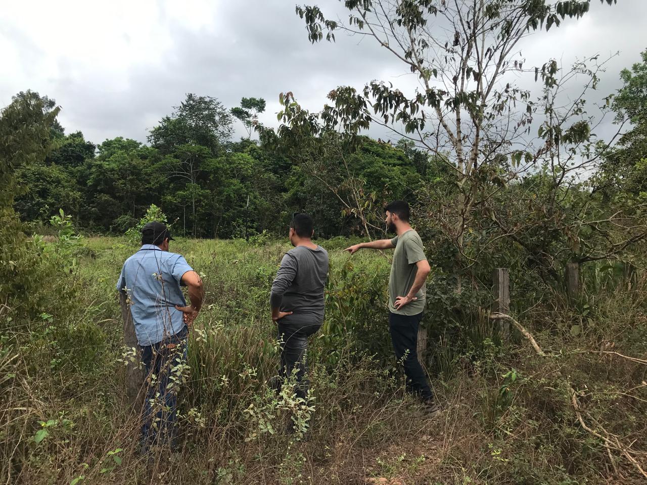 Amazônia tem 4 milhões de hectares aptos para restauração florestal e quase 30 milhões de hectares de potencial, aponta estudo do Amazônia 2030