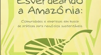 O caso da Precious. Woods/Mil Madeireira Itacoatiara