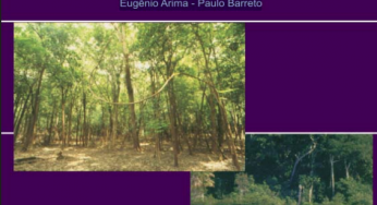 Rentabilidade da Produção de Madeira em Terras Públicas e Privadas em Cinco Flonas na Amazônia
