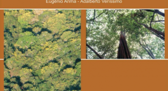 Preços da Madeira em Pé em Pólos Madeireiros Próximos de Cinco Florestas Nacionais da Amazônia