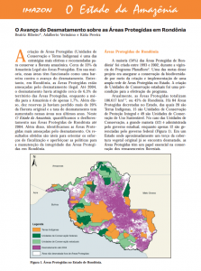 Captura de tela 2025 05 23 084301 223x300 - O Avanço do Desmatamento sobre as Áreas Protegidas em Rondônia