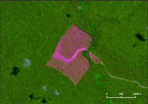 Captura de tela 2025 05 28 162519 - Desmatamento da Amazônia cresce 18% de agosto a abril