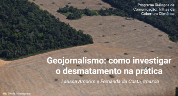 Geojornalismo: como investigar o desmatamento na prática