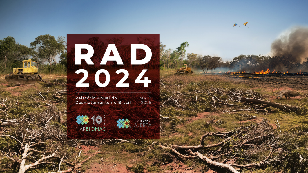 Captura de tela 2025 06 09 094807 1 - Relatório Anual do Desmatamento no Brasil – RAD2024