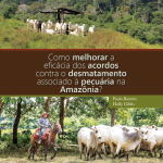 Captura de tela 2025 06 25 110947 150x150 - Como melhorar a eficácia dos acordos contra o desmatamento associado à pecuária na Amazônia?