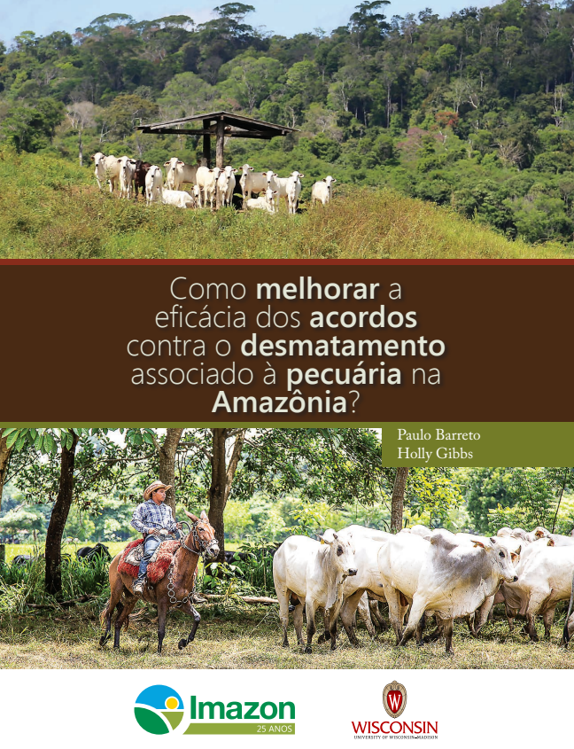 Como melhorar a eficácia dos acordos contra o desmatamento associado à pecuária na Amazônia?