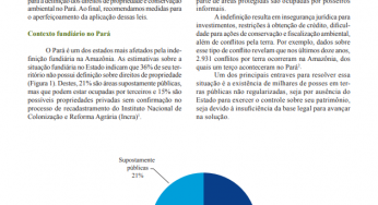 Impactos das novas leis fundiárias na definição de direitos de propriedade no Pará