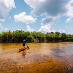 Imagens para o Meltwater 9 150x150 - Campanha Um Dia no Parque 2025 terá atividades em 23 unidades de conservação do Pará