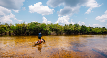 Campanha Um Dia no Parque 2025 terá atividades em 23 unidades de conservação do Pará