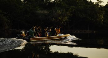 Amazônia terá 41 áreas protegidas no Um Dia no Parque 2025