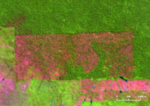 Derrubada na Amazônia Legal cresce 15% de agosto a maio imagem satelite 300x212 - Derrubada na Amazônia Legal cresce 15% de agosto a maio